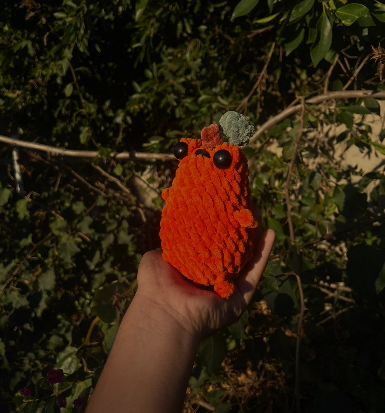 Pumpkin Chunky Frog Plushie - Limited Edition - Halloween