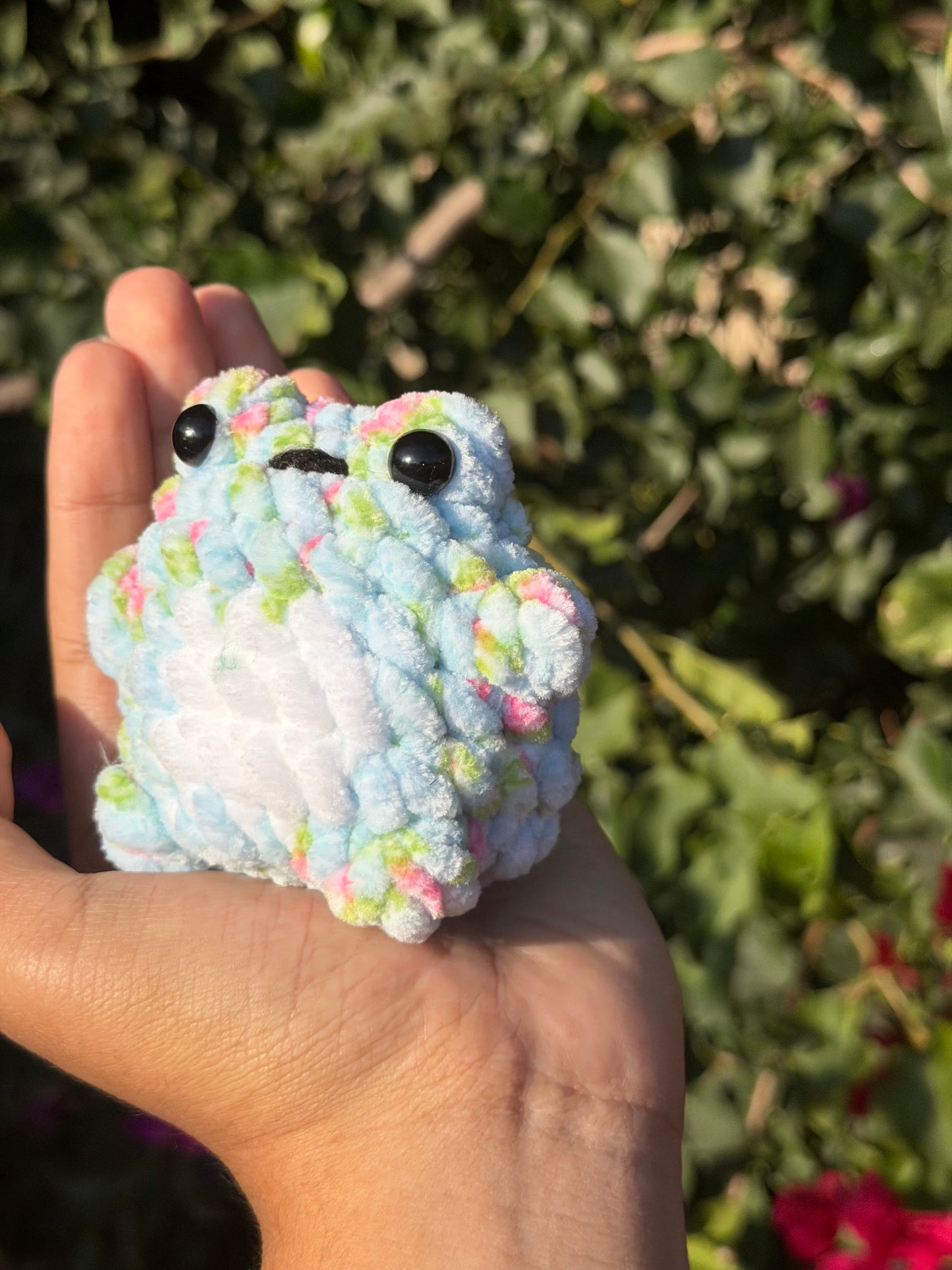 Baby Chunky Frog