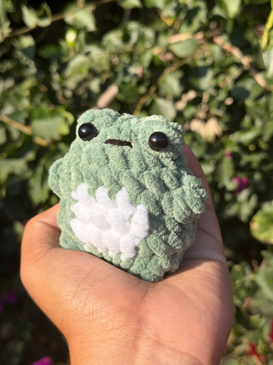 Baby Chunky Frog