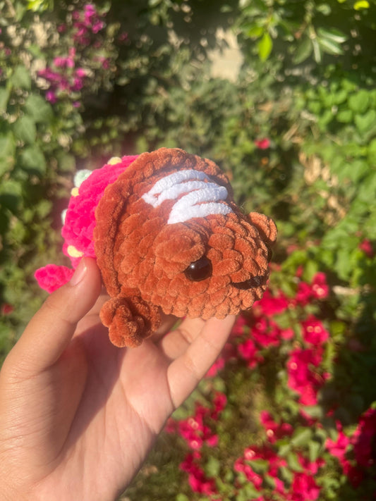 Chocolate Dipped Strawberry Frog