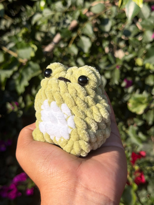 Baby Chunky Frog