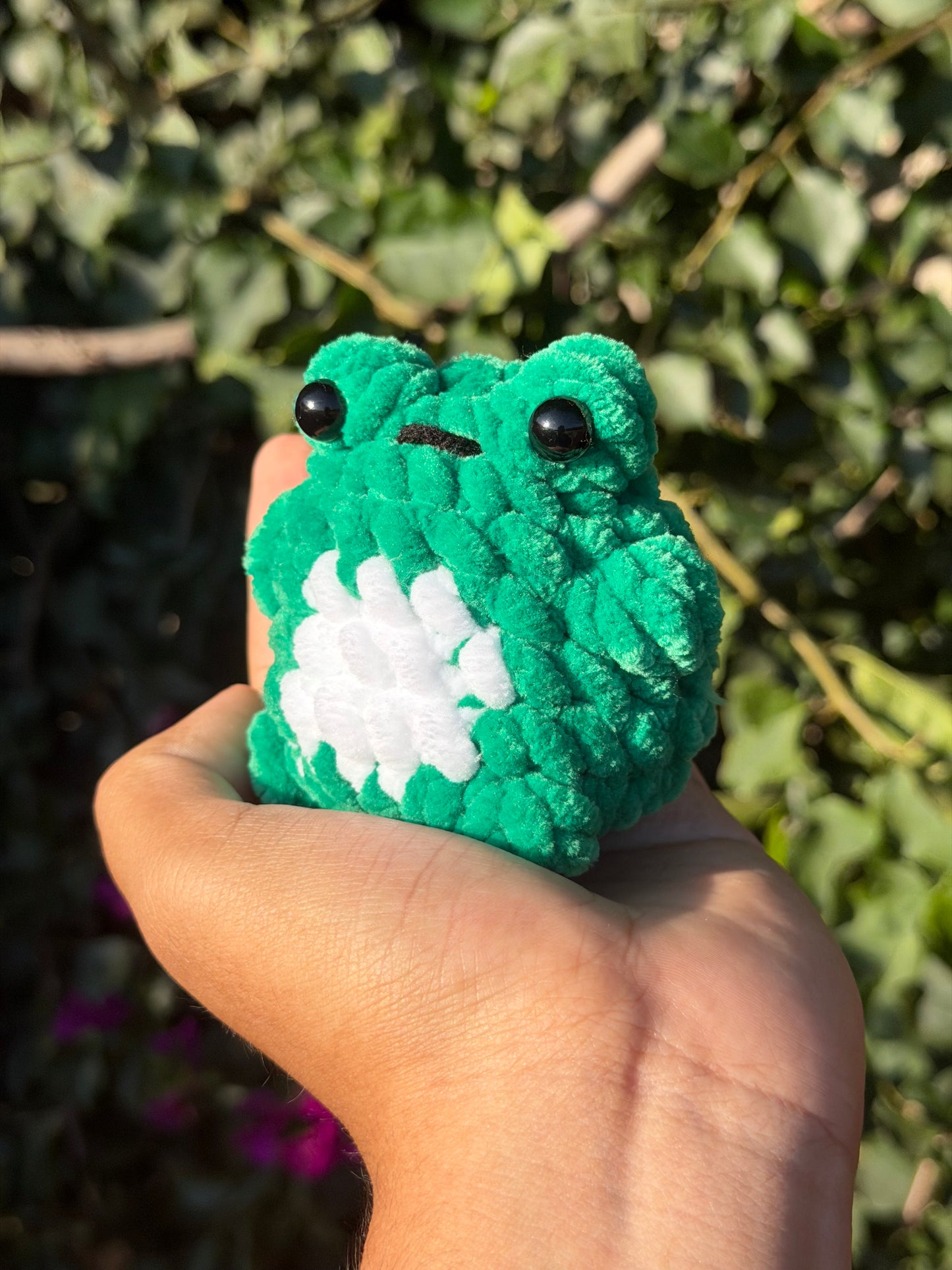 Baby Chunky Frog