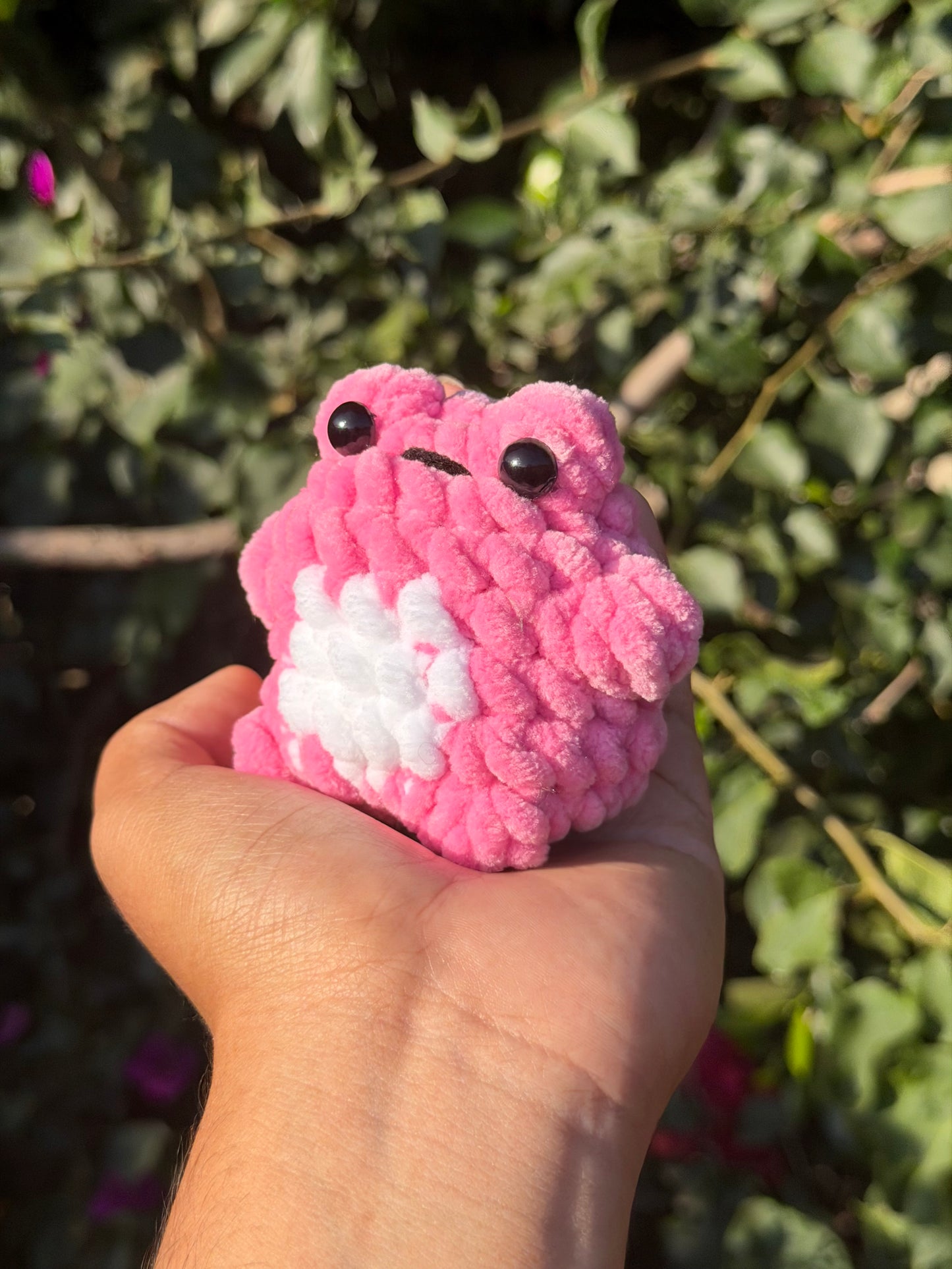 Baby Chunky Frog